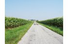 Property photo 9 - 192.5+/- Acres Offered in 3 Tracts